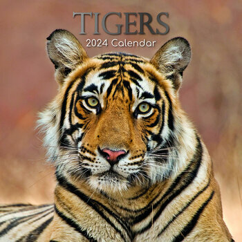 Calendrier 2024 Tigre