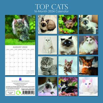 Calendrier 2024 Chat de race Calendrier 2024 Chat de race
