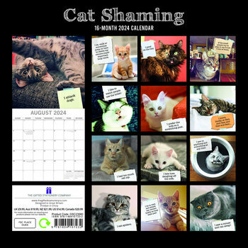 Calendrier 2024 Chat honteux Calendrier 2024 Chat honteux