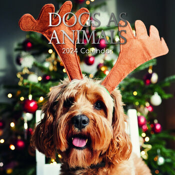 Calendrier 2024 Chien déguisé Calendrier 2024 Chien déguisé