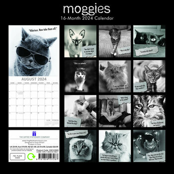 Calendrier 2024 Humour de chat Calendrier 2024 Humour de chat
