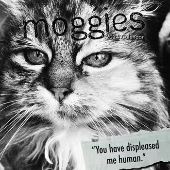 Calendrier 2024 Humour de chat Calendrier 2024 Humour de chat