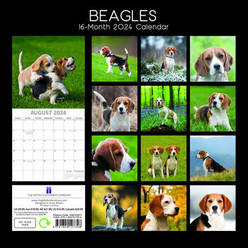 Calendrier 2024 Beagle Calendrier 2024 Beagle