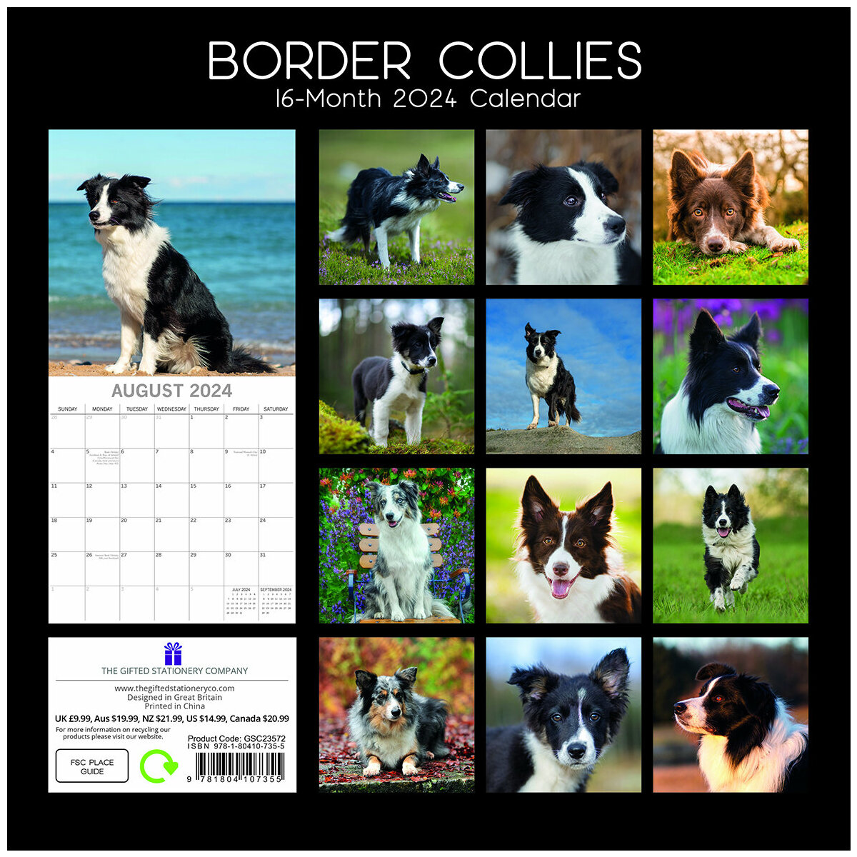 calendrier Border collie 2024