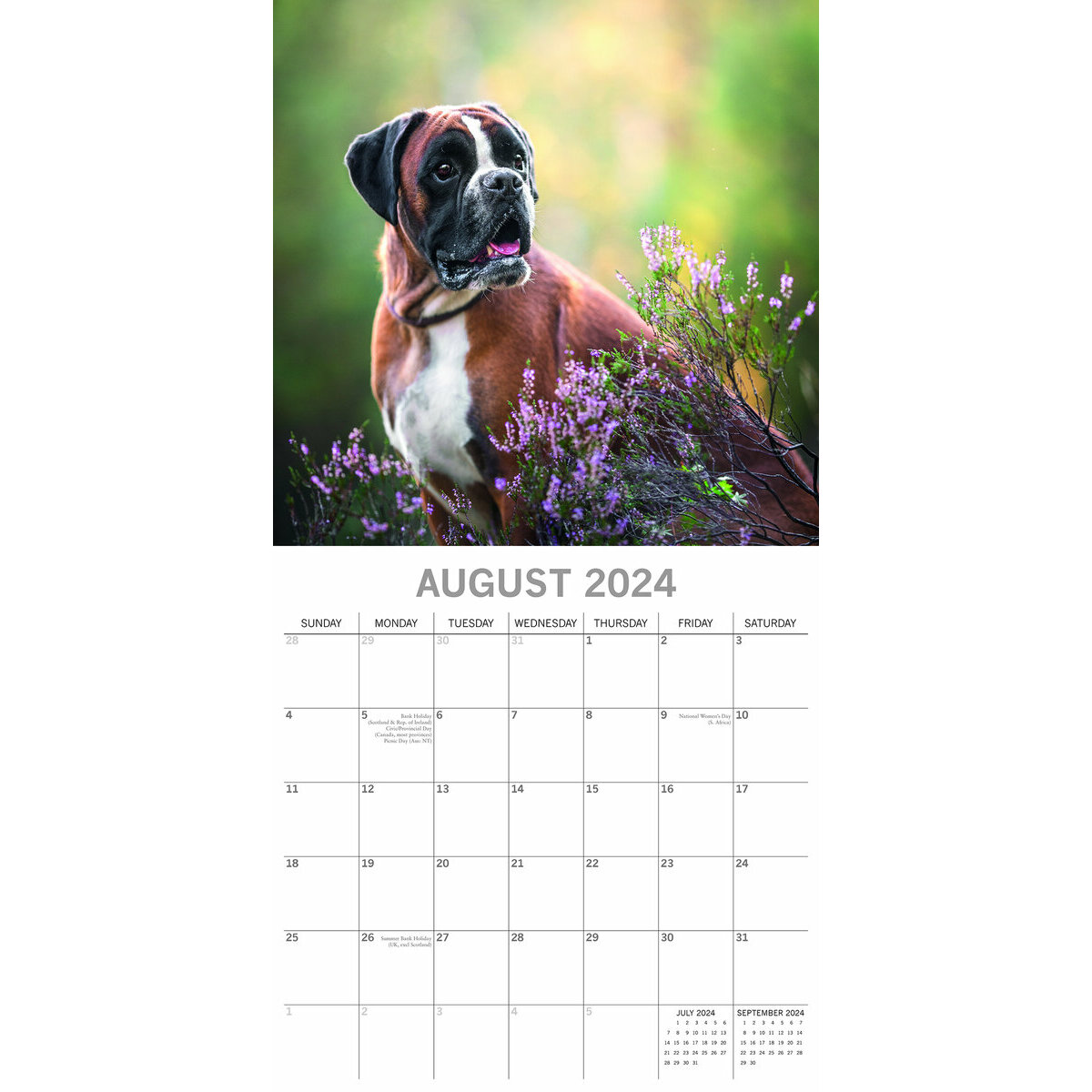 calendrier Boxer 2024