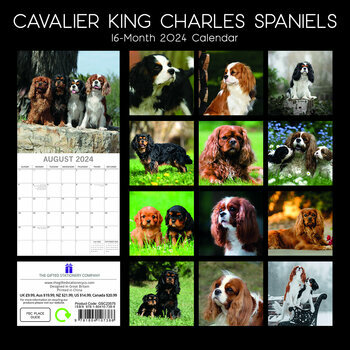 Calendrier 2024 Cavalier king charles