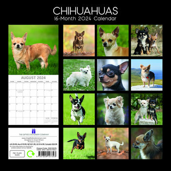 Calendrier 2024 Chihuahua