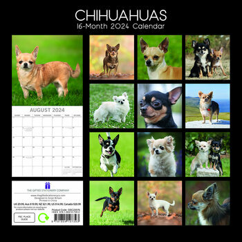 Calendrier 2024 Chihuahua Calendrier 2024 Chihuahua