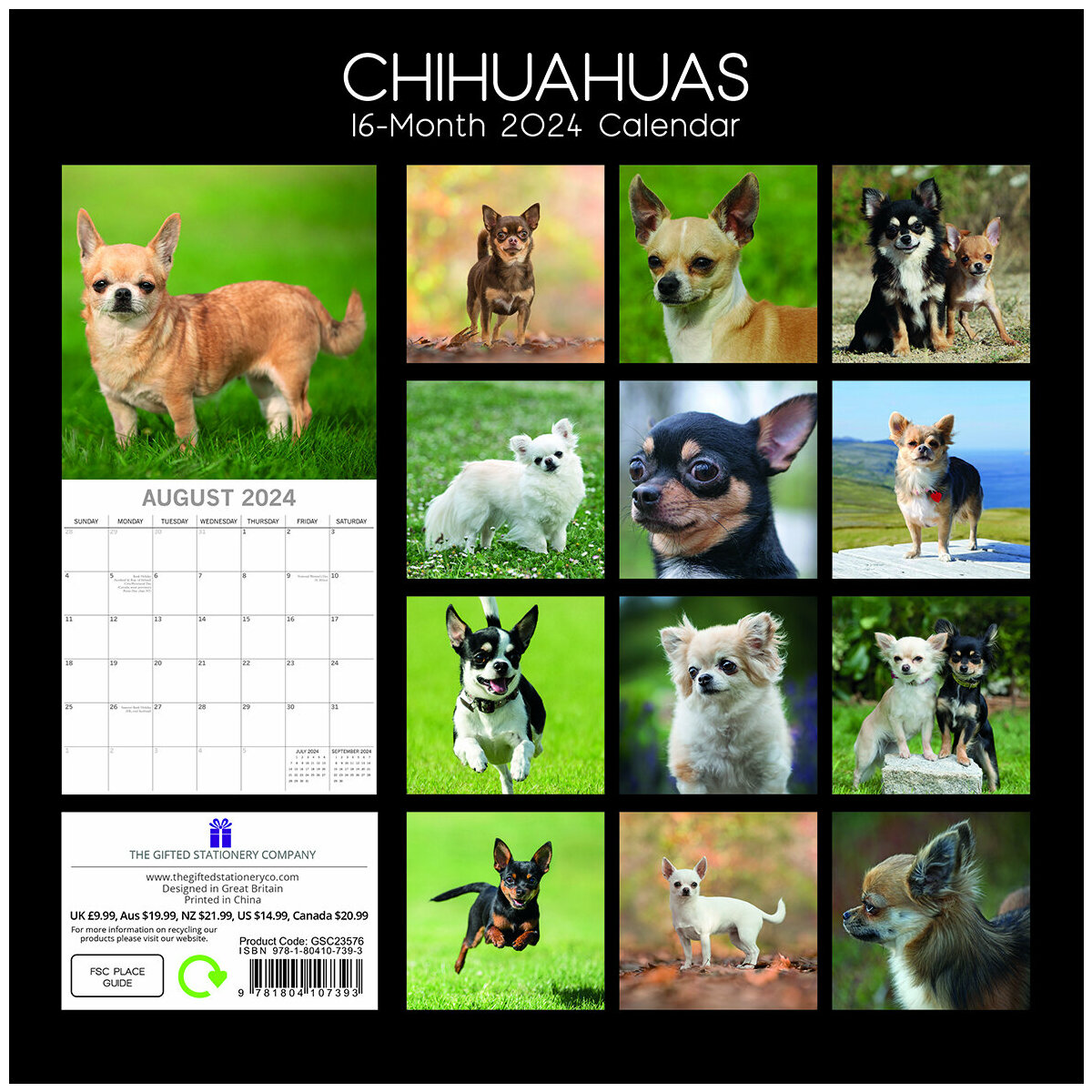 calendrier Chihuahua 2024