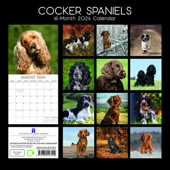 Calendrier 2024 Cocker anglais