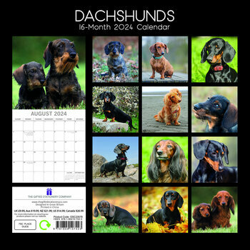 Calendrier 2024 Teckel Calendrier 2024 Teckel