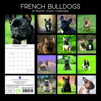 Calendrier 2024 Bouledogue français Calendrier 2024 Bouledogue français