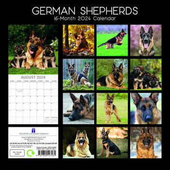 Calendrier 2024 Berger allemand Calendrier 2024 Berger allemand