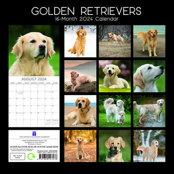 Calendrier 2024 Golden retriever