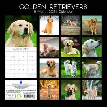 Calendrier 2024 Golden retriever Calendrier 2024 Golden retriever