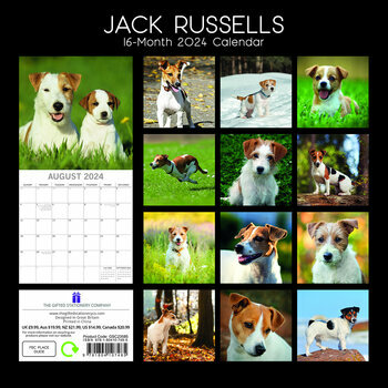 Calendrier 2024 Jack russell