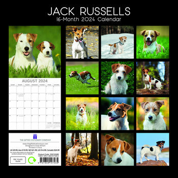 Calendrier 2024 Jack russell Calendrier 2024 Jack russell
