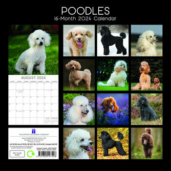 Calendrier 2024 Caniche Calendrier 2024 Caniche