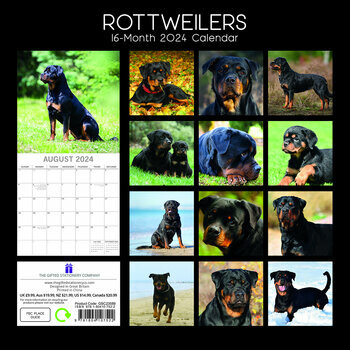 Calendrier 2024 Rottweiler Calendrier 2024 Rottweiler