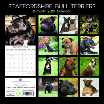 Calendrier 2024 Staffordshire bull terrier Calendrier 2024 Staffordshire bull terrier
