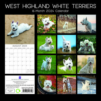 Calendrier 2024 West highland white terrier