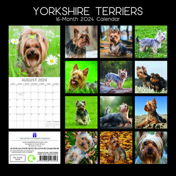 Calendrier 2024 Yorkshire terrier
