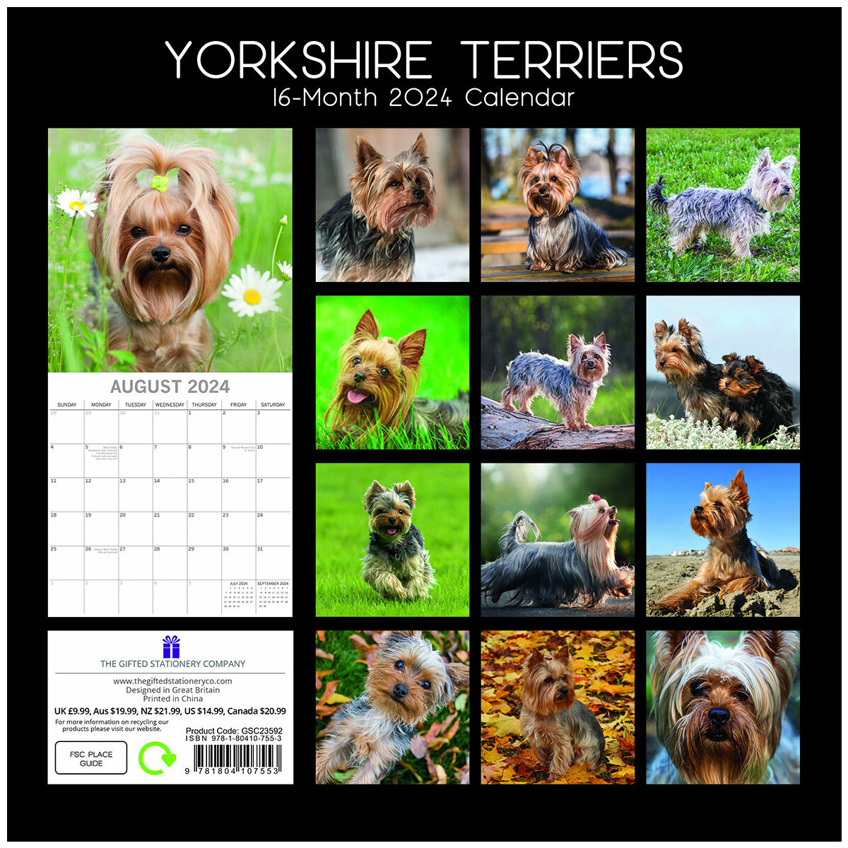 calendrier Yorkshire terrier 2024