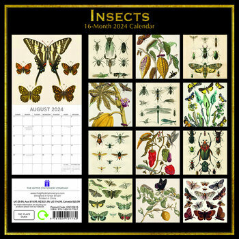 Calendrier 2024 Dessin insecte