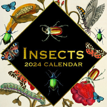 Calendrier 2024 Dessin insecte