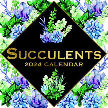 Calendrier 2024 Dessin plante grasse - succulente