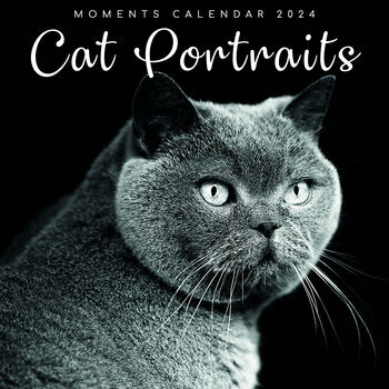 Calendrier 2024 Chat noir et blanc