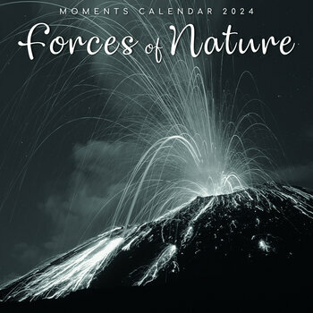 Calendrier 2024 Force de la nature noir et blanc