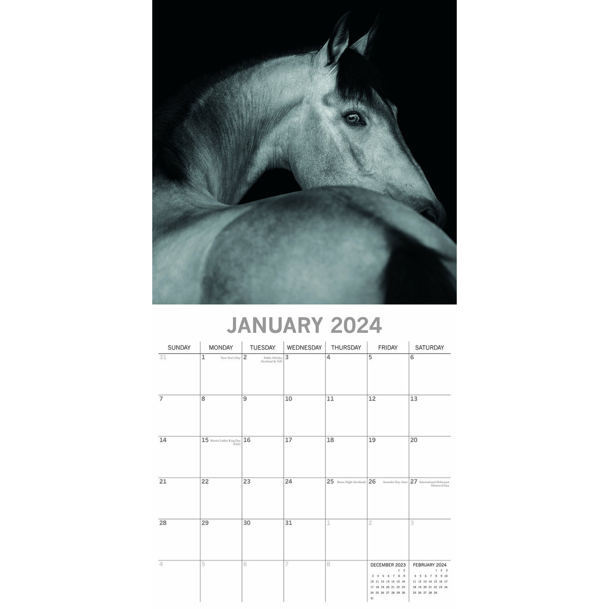Calendrier 2025 Chevaux noir et blanc