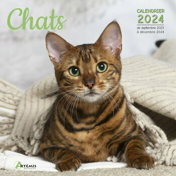 Calendrier 2024 Chats