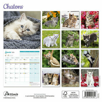 Calendrier 2024 Chaton