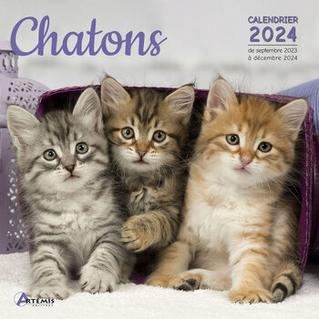 Calendrier 2024 Chaton