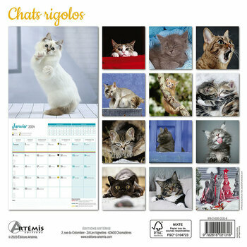 Calendrier 2024 Chat rigolo Calendrier 2024 Chat rigolo