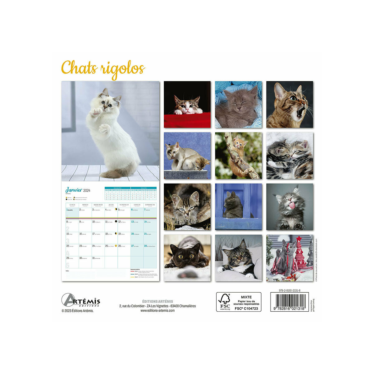 Calendrier 2024 Chat rigolo