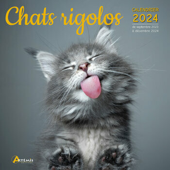 Calendrier 2024 Chat rigolo