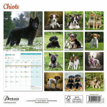 Calendrier 2024 Chiot