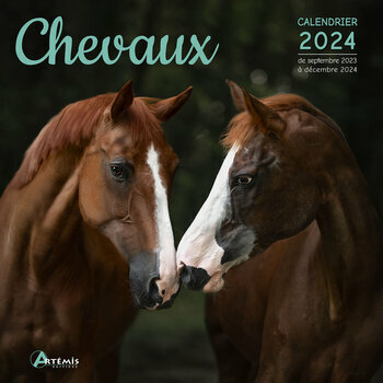 Calendrier 2024 Chevaux