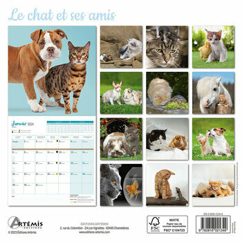 Calendrier 2024 Chat et ses amis