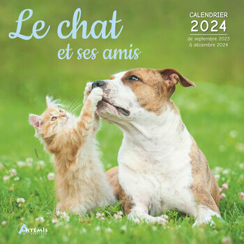 Calendrier 2024 Chat et ses amis