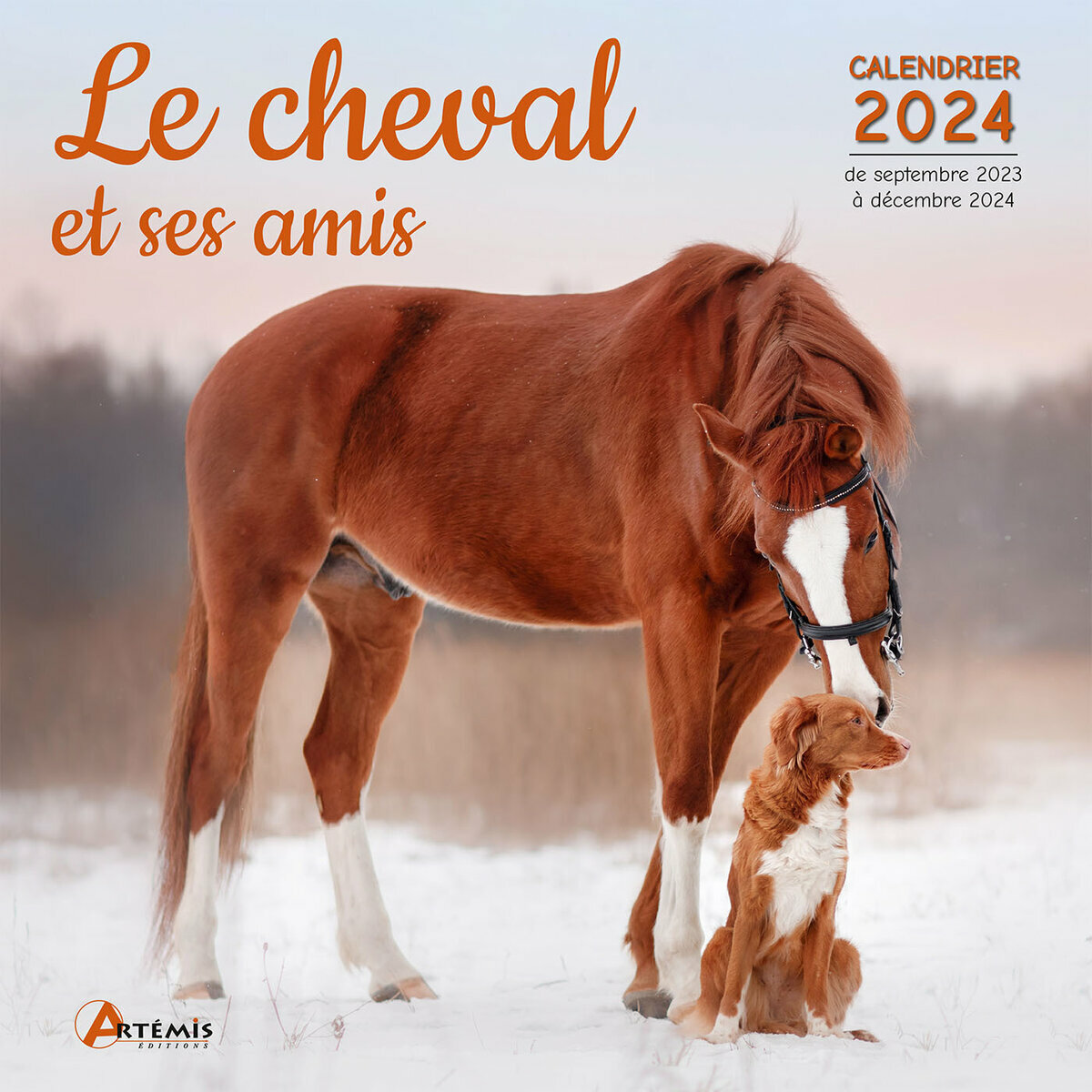 Calendrier 2025 Le cheval et ses amis