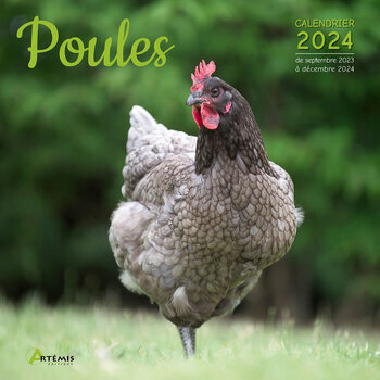 Calendrier 2024 Poule