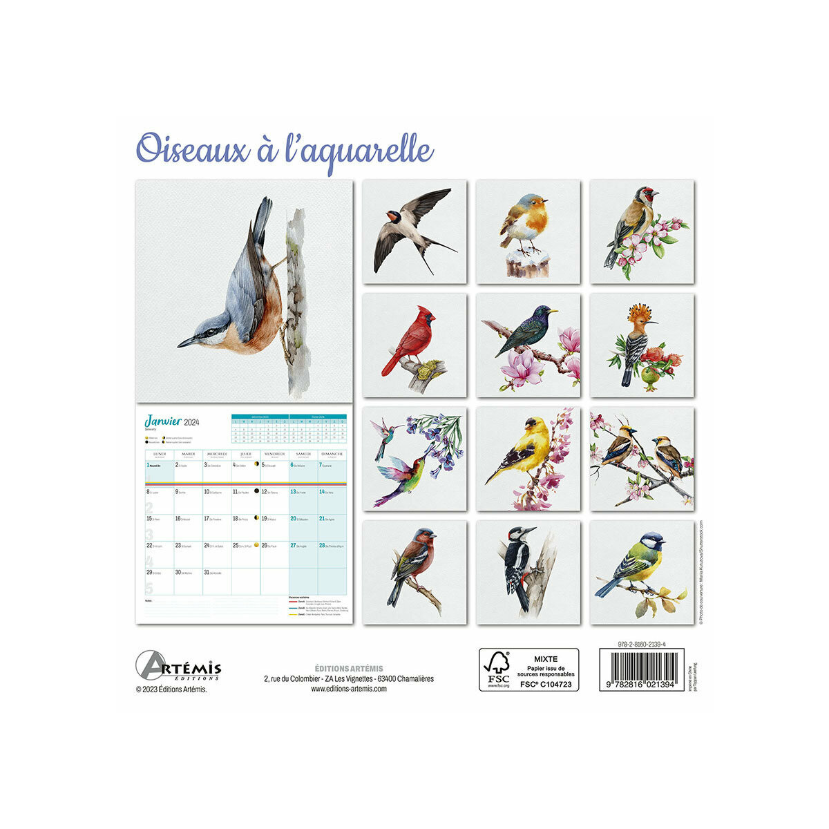 Calendrier 2024 Dessin aquarelle oiseau