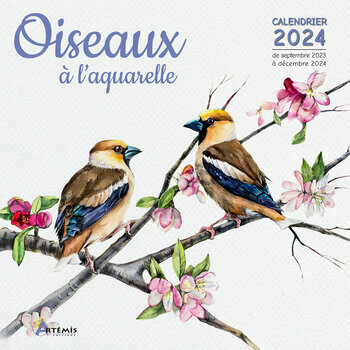 Calendrier 2024 Dessin aquarelle oiseau Calendrier 2024 Dessin aquarelle oiseau