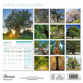 Calendrier 2024 Arbre remarquable Calendrier 2024 Arbre remarquable