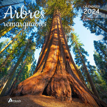 Calendrier 2024 Arbre remarquable Calendrier 2024 Arbre remarquable