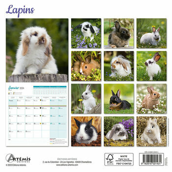 Calendrier 2024 Lapin Calendrier 2024 Lapin